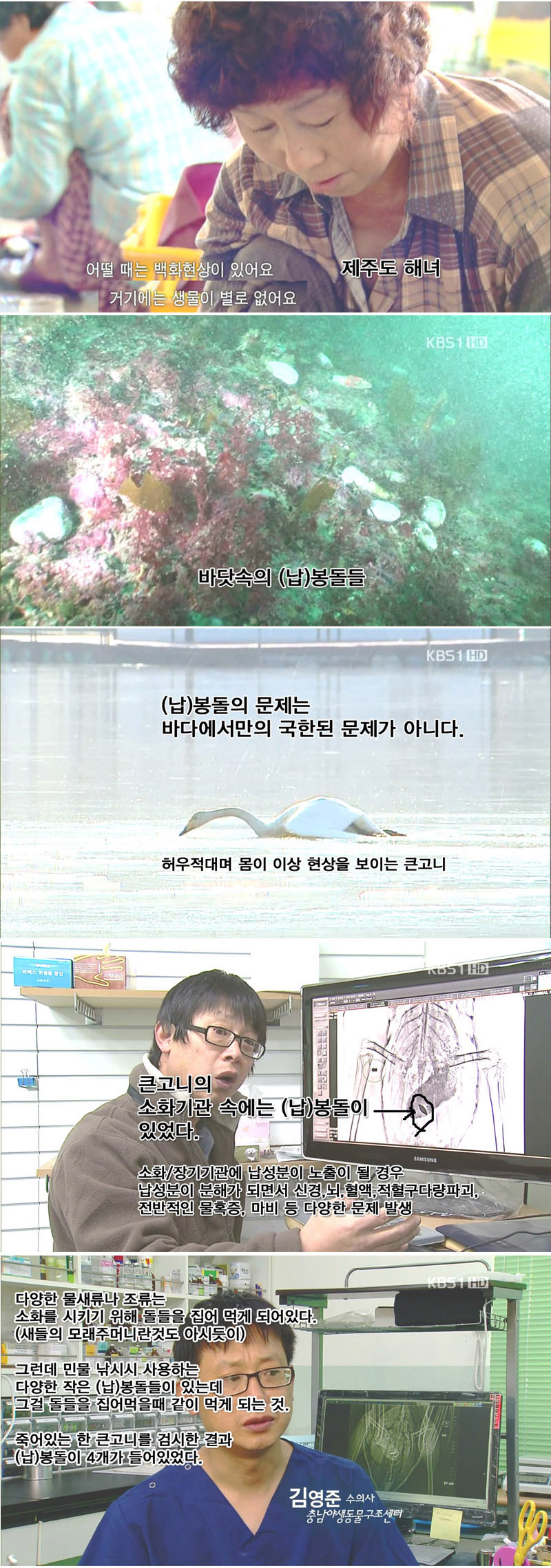 2.jpg : '낚시'가 세상을 조용히 납중독으로 만들고 있다