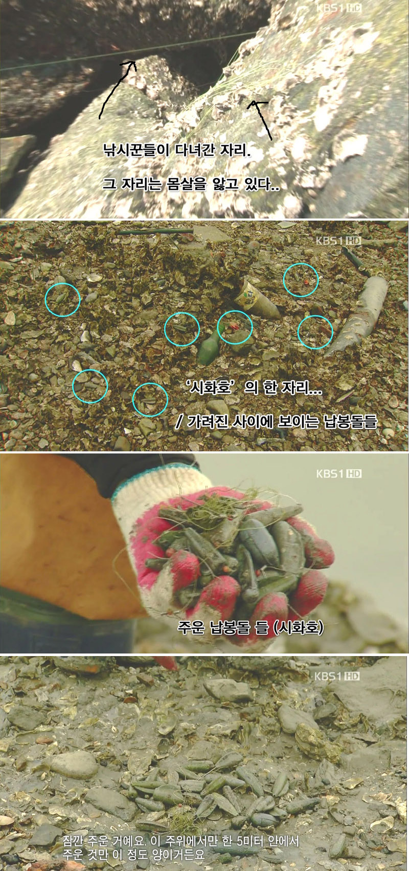 4.jpg : '낚시'가 세상을 조용히 납중독으로 만들고 있다