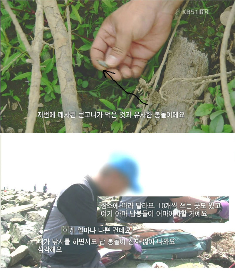 3.jpg : '낚시'가 세상을 조용히 납중독으로 만들고 있다