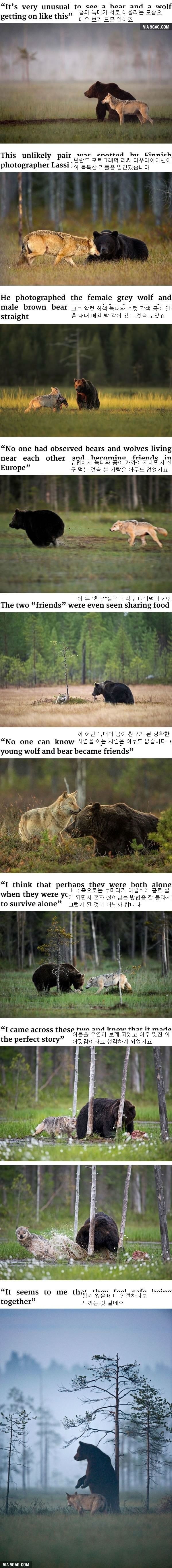 SiVhqgC.jpg