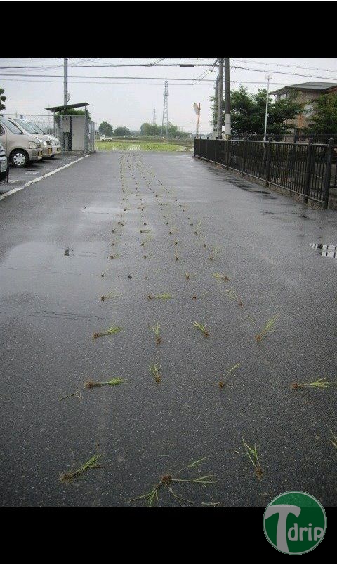 1 (5).jpg : 생애 첫 차 구매후 인증.jpg