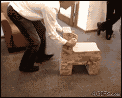 쇼오오파.gif