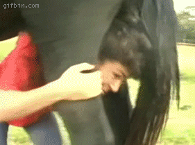 1281429038_girl-vs-horse.gif : 서양 처자..... 흥분한 나머지 말 가랑이에서........GIF