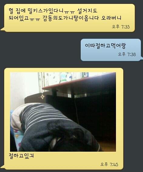 _y1.jpg : 야갤러와 귀요미 여동생.jpg