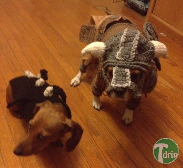 skyrim-dogs-1.jpg : 스카이림 코스프레.jpg