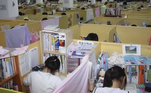 강남 초딩들.jpg