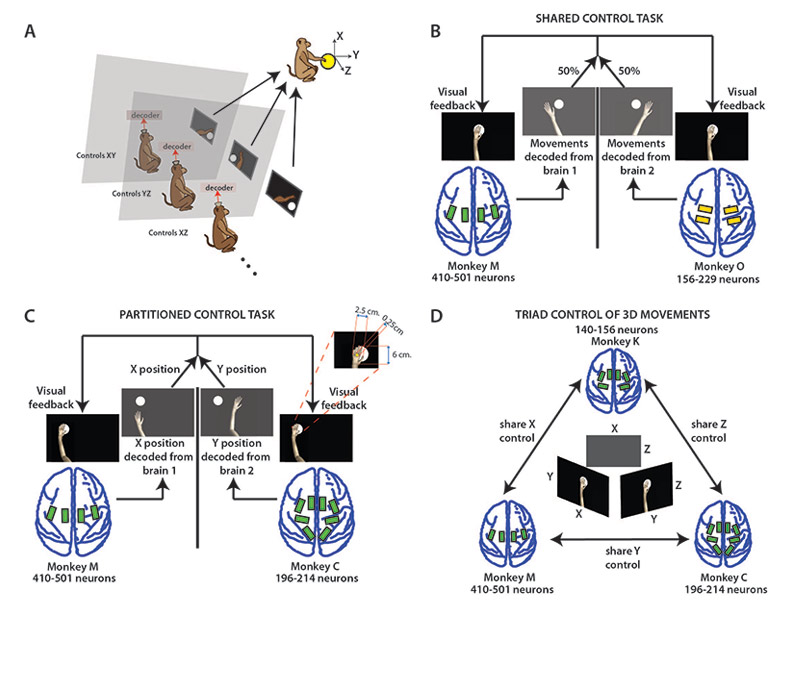 Figure1_Ramakrishnan_sm Figure1_Ramakrishnan_sm