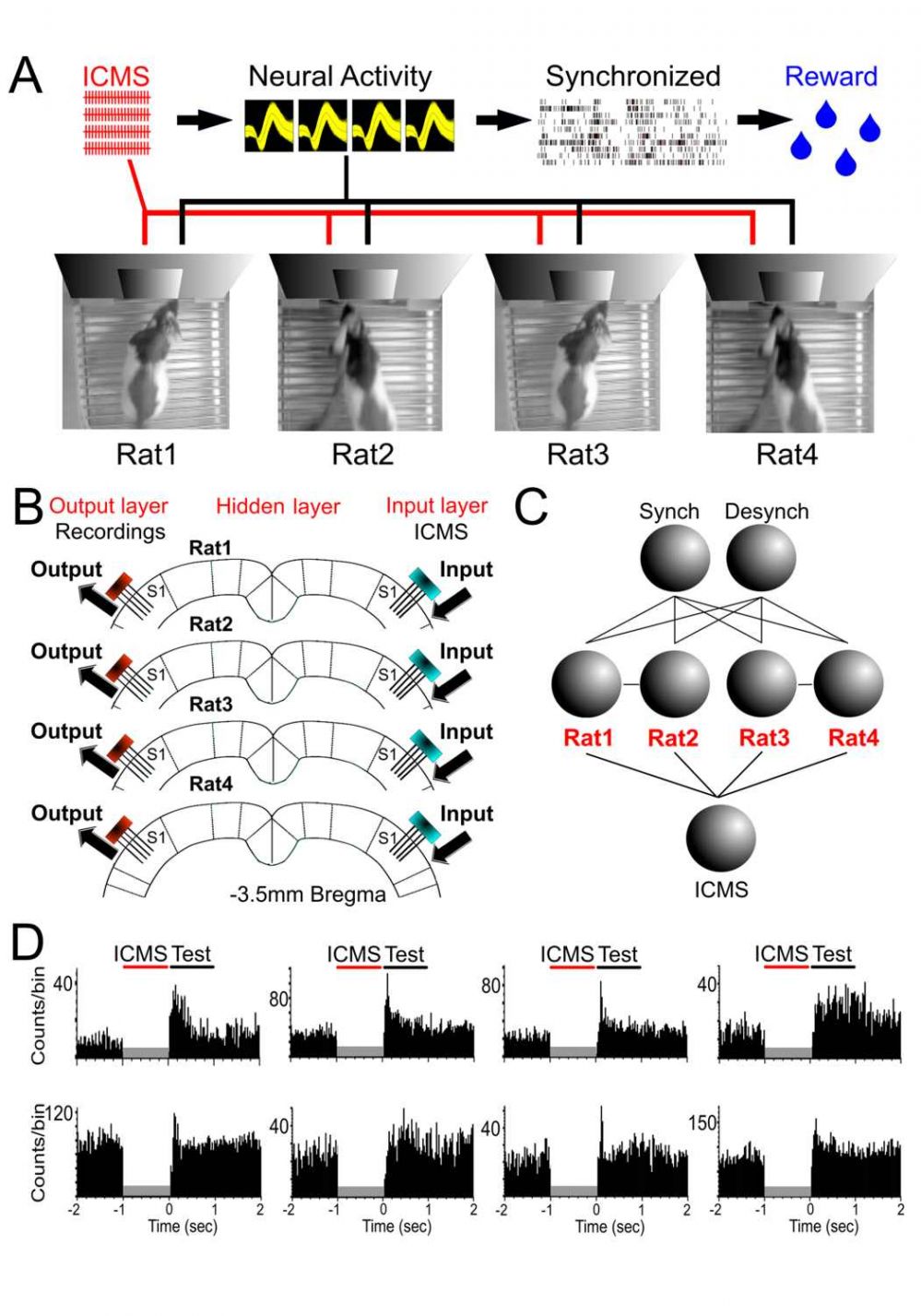 Figure_1_Vieira.jpg Figure_1_Vieira.jpg