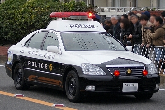 P1.jpg