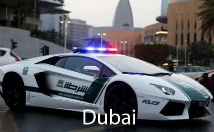 5Pd4aWuwHI1bMDqhTLxUtOBvz7QonRFl.jpg
