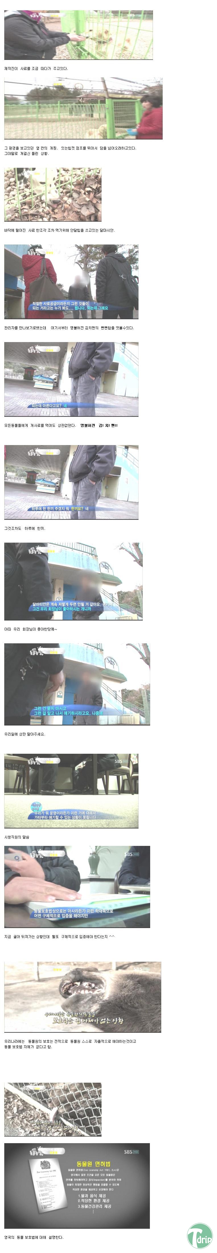 zoo 2.jpg : 반도의 어느 동물원의 실태.jpg
