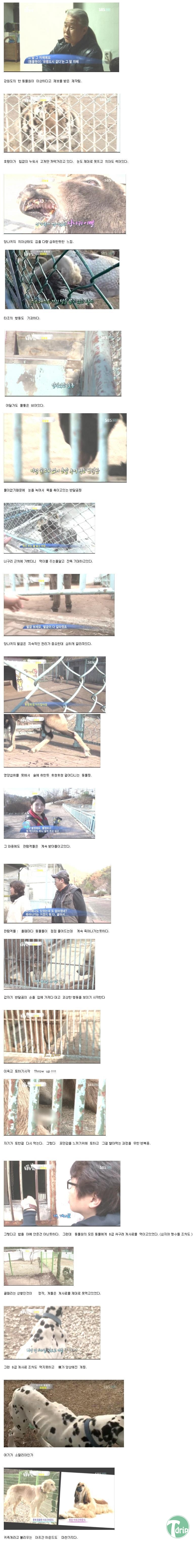 zoo 1.jpg : 반도의 어느 동물원의 실태.jpg