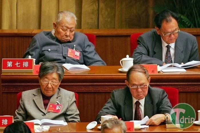 03.jpg : 졸리는 짤 모음.jpg