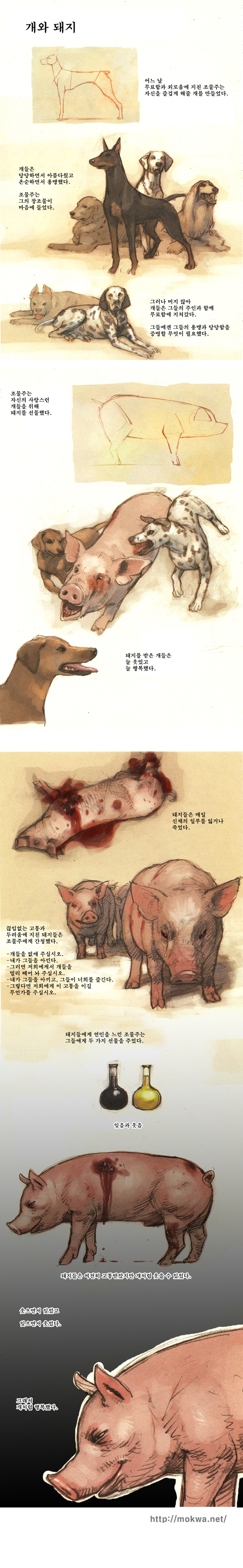 개와 돼지.jpg