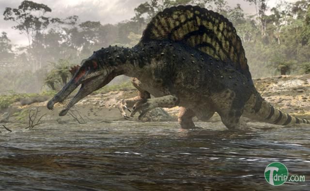 spinosaurus_1.jpg