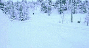 1 (1).gif