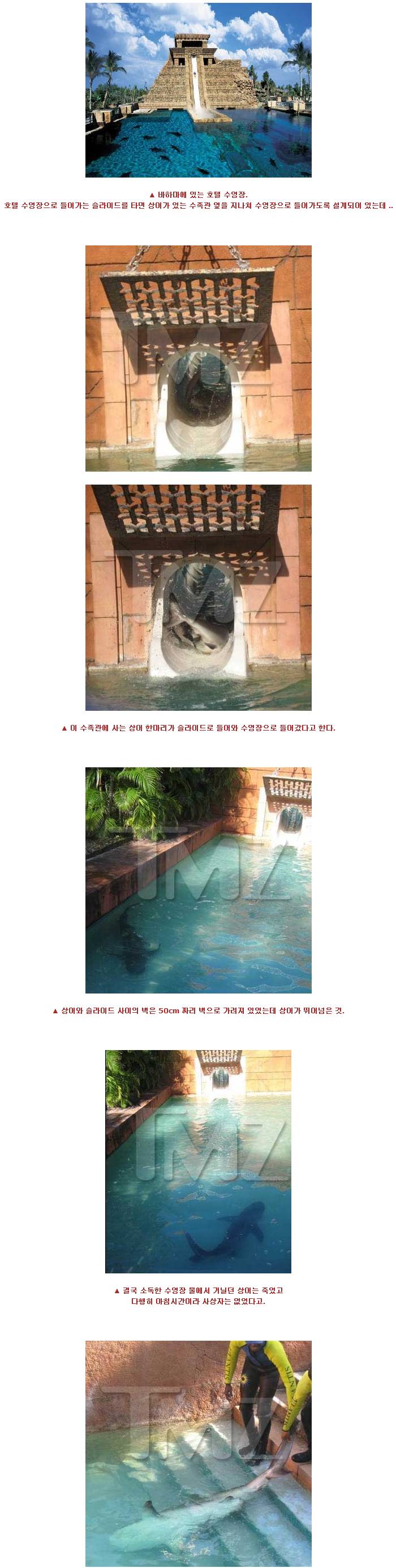 p.jpg : 세상에서 가장 무서운 호텔 수영장.jpg