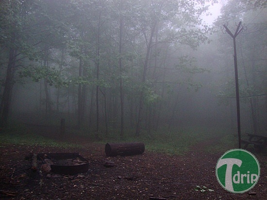 8.1273813504.foggy-rainy-day.jpg : 장마철 비내리는 풍경.jpg