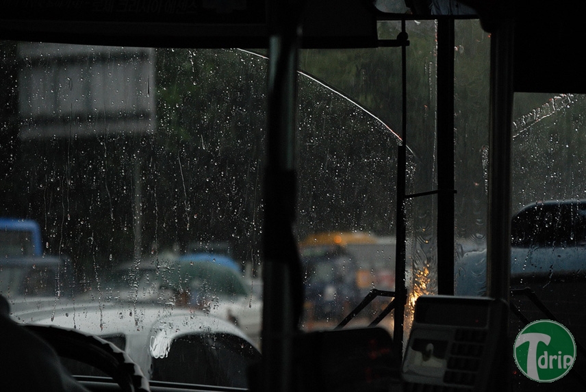 rain33e6642536f80752eb08e20e5bfa63f9.jpg : 장마철 비내리는 풍경.jpg