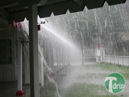 2.1236837780.heavy-rain-pic-taken-from-hec-rest-house.jpg : 장마철 비내리는 풍경.jpg