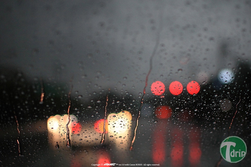 rain007e060e53f2e0dbfced11c292529f28.jpg : 장마철 비내리는 풍경.jpg