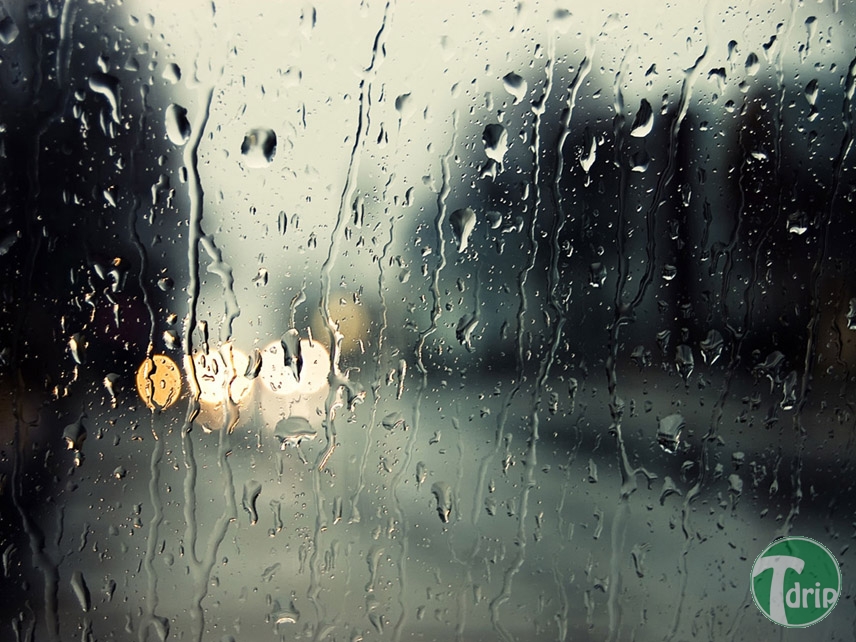 rain40fd00d5c18cd6c448e903e8ed3c289d.jpg : 장마철 비내리는 풍경.jpg