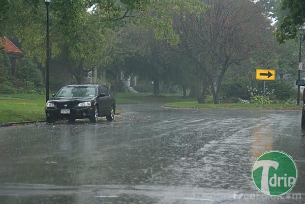16_31_1---Rainy-Day_web.jpg : 장마철 비내리는 풍경.jpg