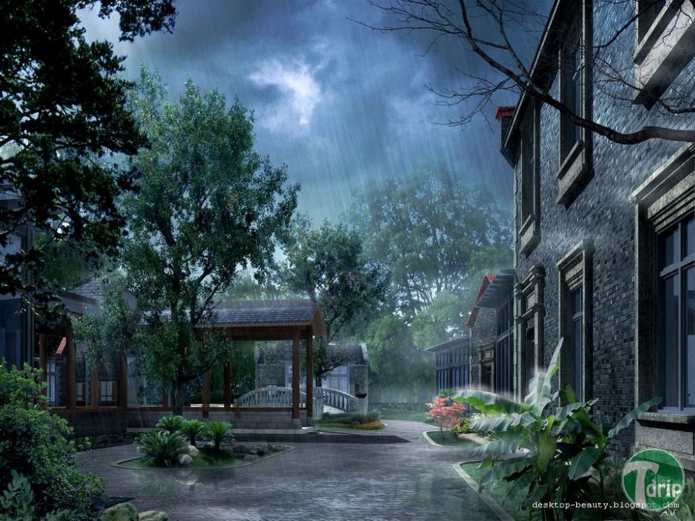 rain-17.jpg : 장마철 비내리는 풍경.jpg