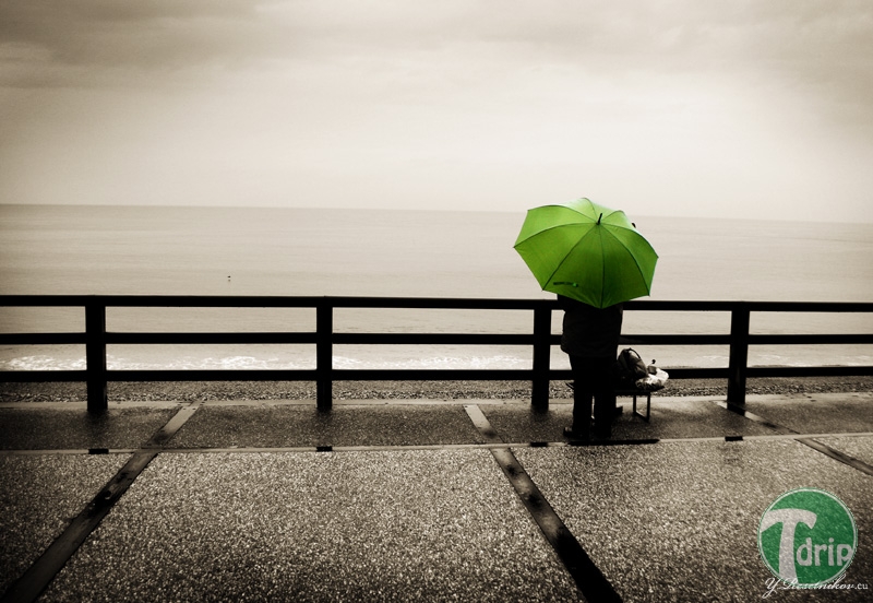 rainy-days.jpg : 장마철 비내리는 풍경.jpg