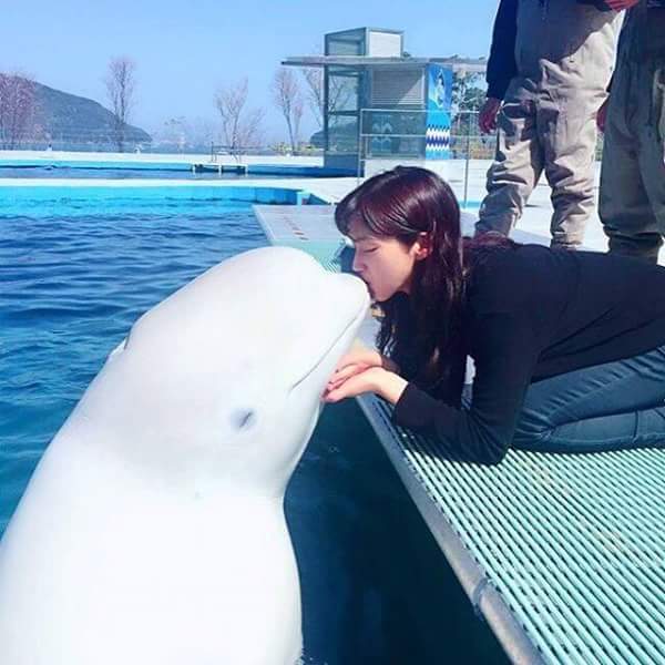 다운로드 (32).jpg : 남녀차별하는 돌고레