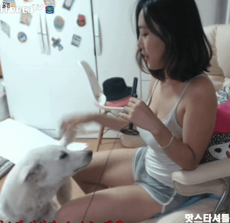9.gif