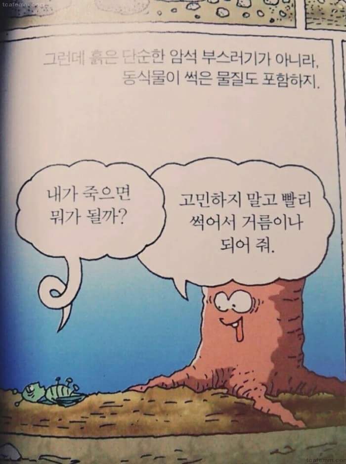 죽어.jpg
