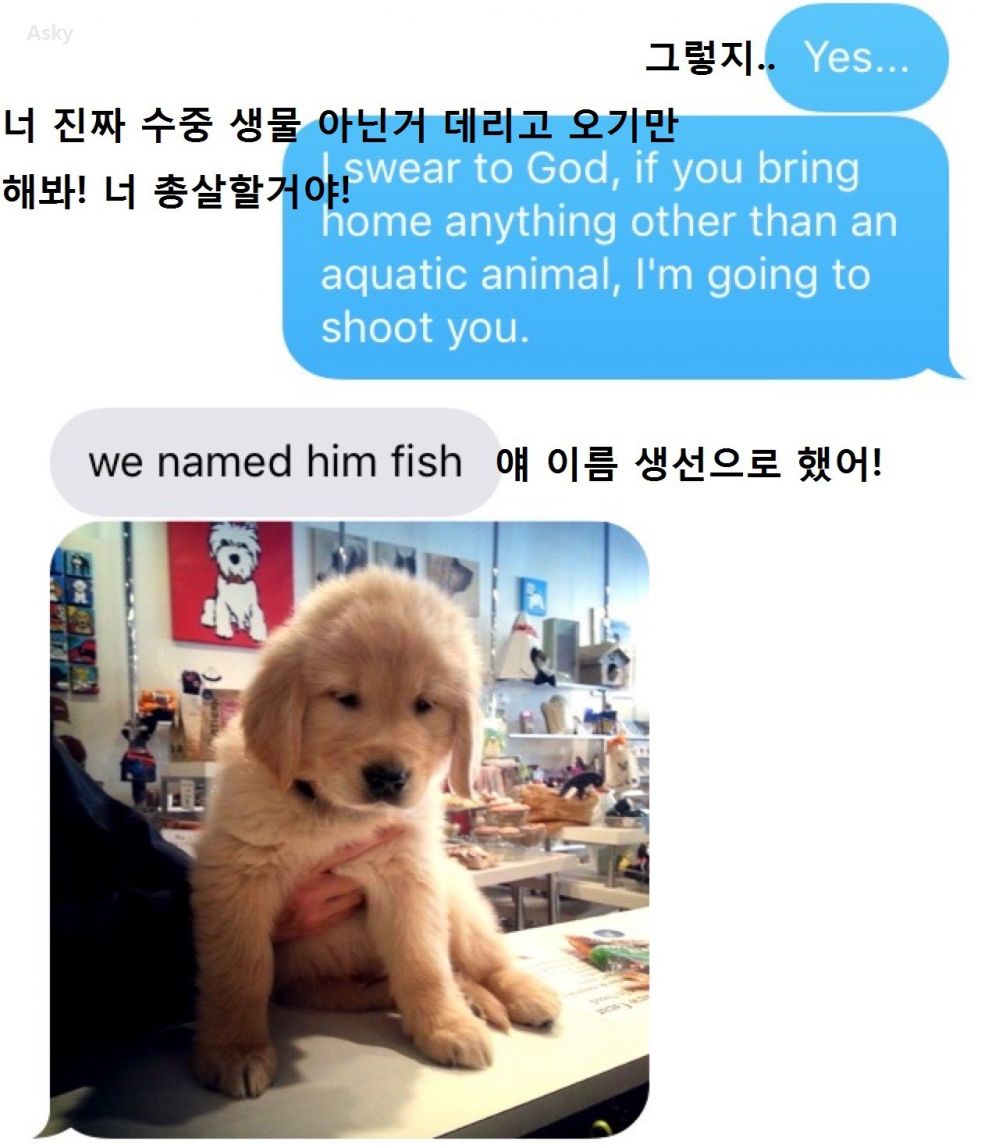 image.jpeg : 보들보들한 물고기.jpg