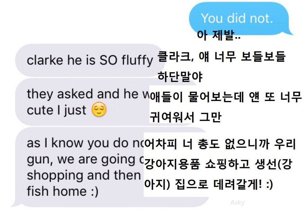 image.jpeg : 보들보들한 물고기.jpg