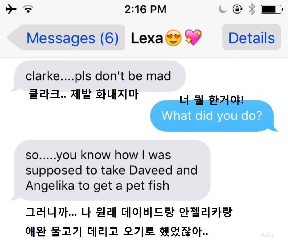 image.jpeg : 보들보들한 물고기.jpg