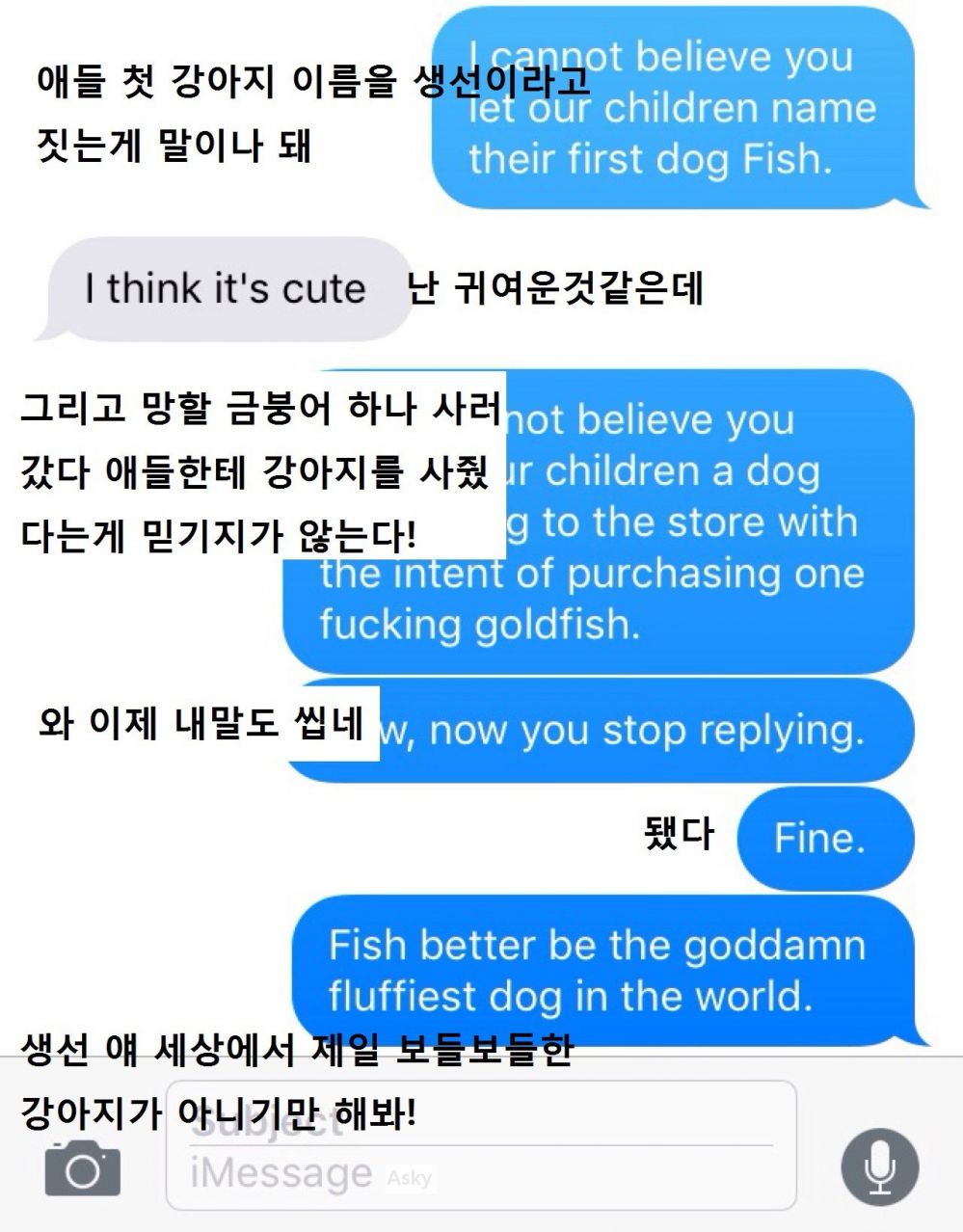 image.jpeg : 보들보들한 물고기.jpg