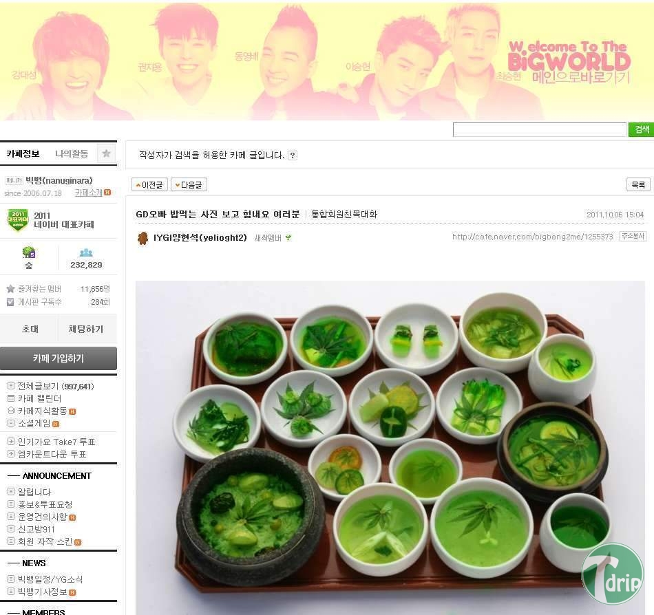 1 (10).jpg : 빅뱅팬카페에서 민주화 당하는법.JPG
