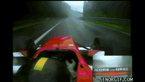 1.gif : F1 선수의 컨트롤.GIF