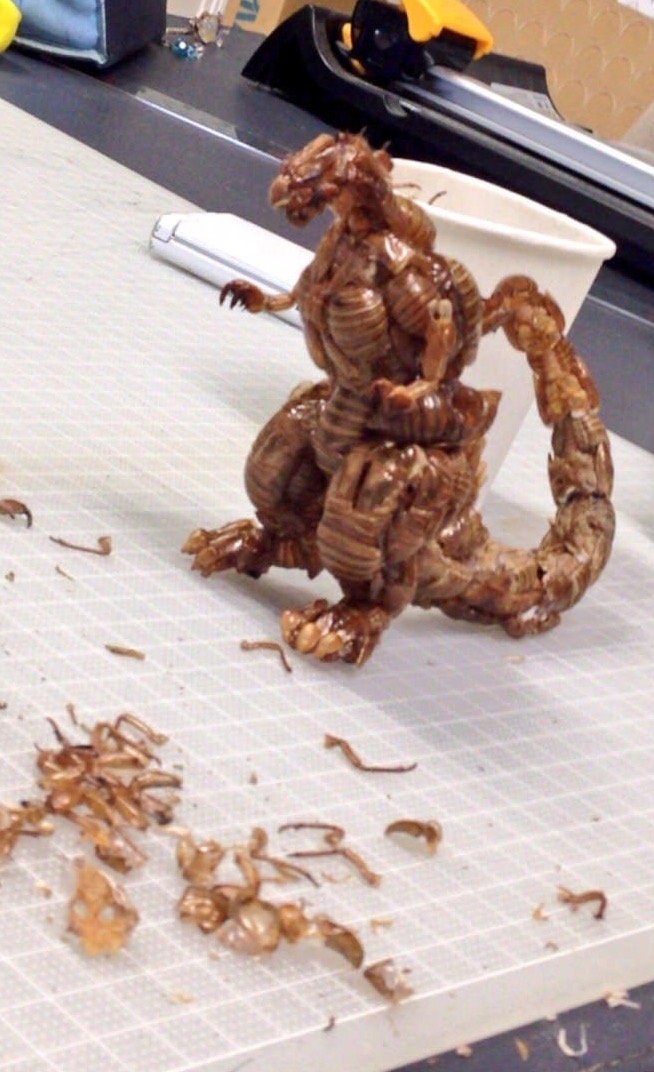 game_classic-10592646-original-000.jpg : 혐주의)  곤충개조