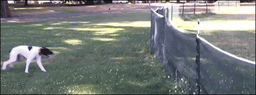 058ed4a3899c3af4d06186fec1eca4a3_qaO1fxS5Yf3DhnlDKU1ncE5LwAAW.gif