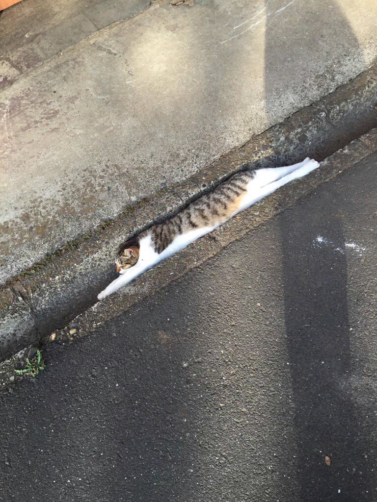 IMG_20160515_172104.jpg : 뭘 하고 싶었던걸까