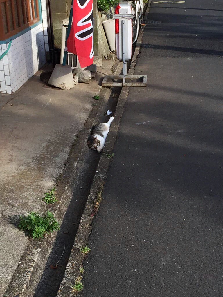 IMG_20160515_172103.jpg : 뭘 하고 싶었던걸까