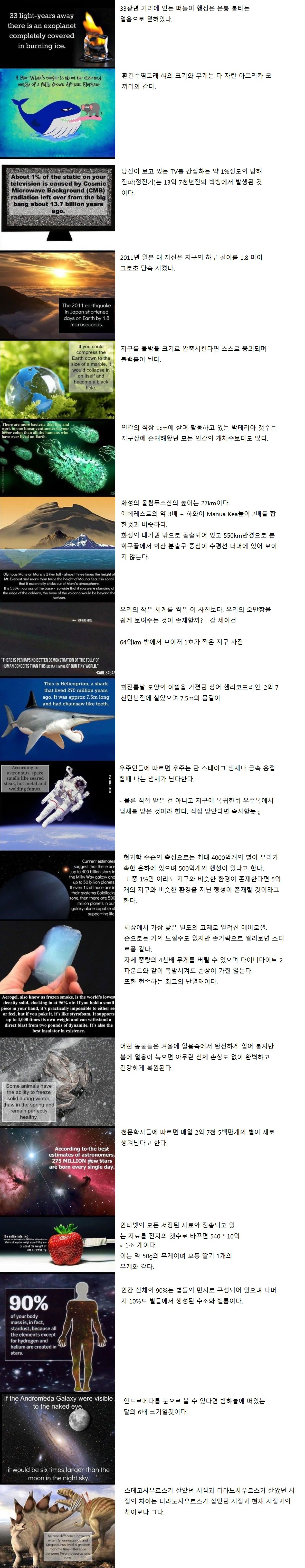 살아가면서 전혀 도움 안되는 상식.jpg