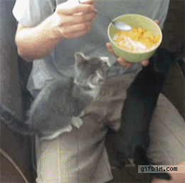 aAYpBLo_460sa.gif
