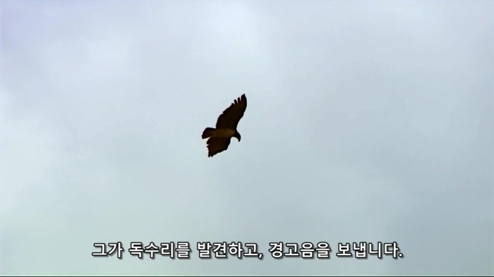 바람까마귀8.jpg