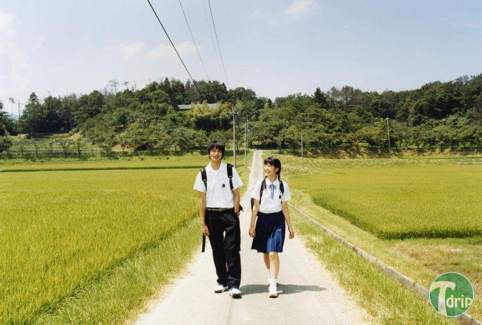 ssibal3.jpg : 다시 보는 디시 씨발낙지글 모음.jpg