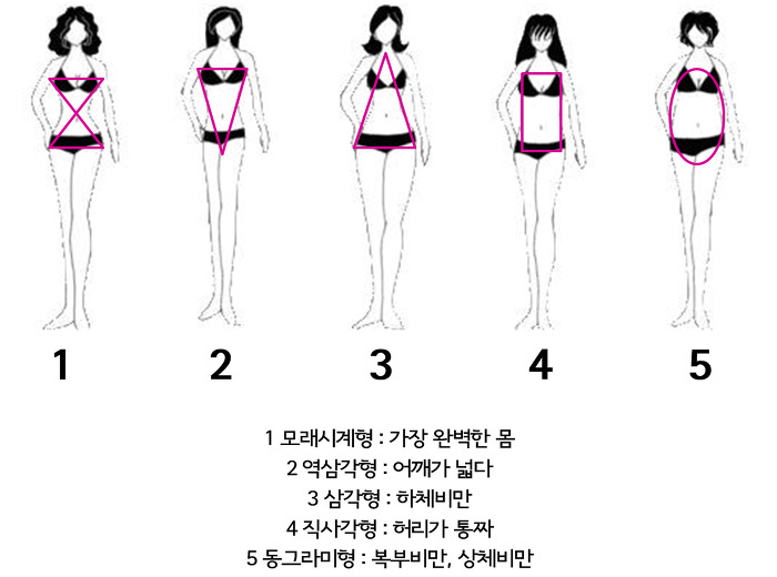 2 (3).jpg : 여자들의 몸매 유형.jpg
