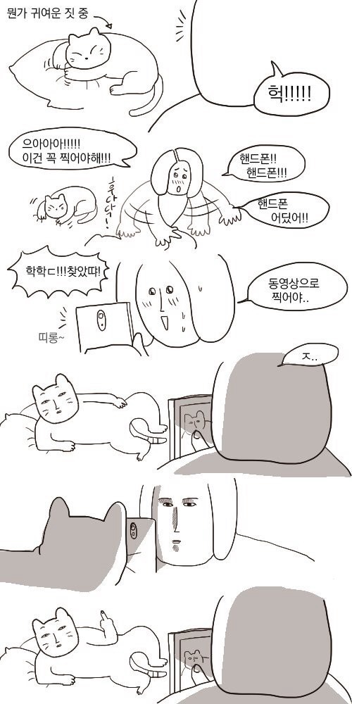 image.jpeg : 고양이 사진찍기