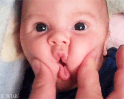 2.gif