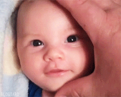 1.gif